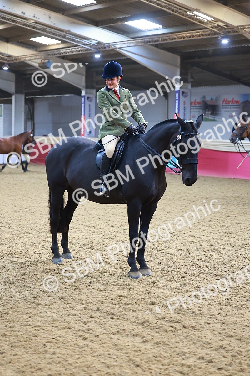 SBM_07680 - Class 101 - HOYS Veteran Qualifier - Ridden Diamond