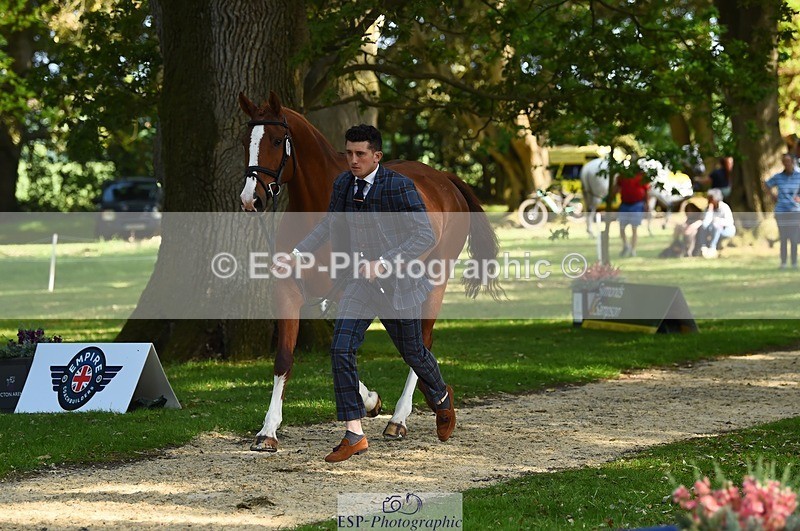 230524-170328-01258 - 131-FORTSIDE_COBRA-Freddie_Carden-WEDTrotUp+DR