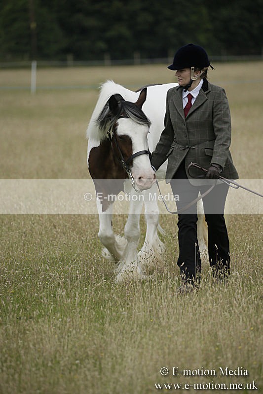 B230619-0034 - Bourne Valley Riding Club Summer Show 23/06/19