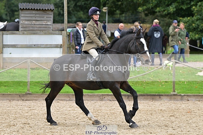 240929-121449-00562 - Cls 2 80-85cm 12.15 to End