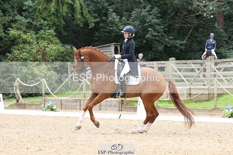 240810-133416-03341 - 188-Amanda.Towle.Shaw-Rockwood.Virtue