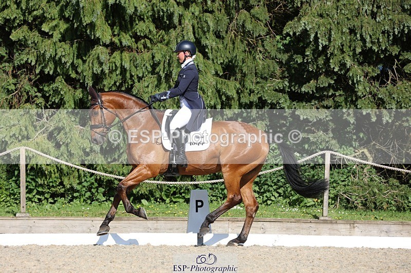 230526-172004-07955 - 177-ARGENTINO_BK-Dani_Evans-WEDTrotUp+DR