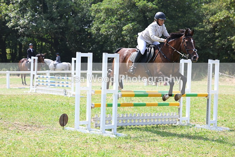 3E7A2861 - Class 7: Senior British Novice/90cm open