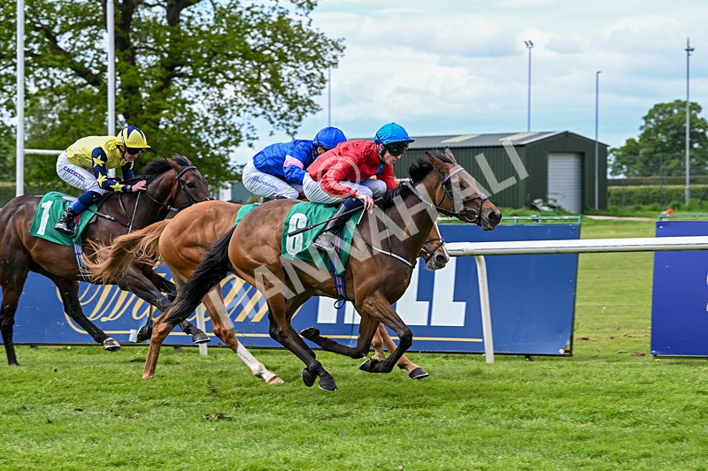 160526-Race 3-Caraway-9549 - Race 3 3.00pm Metaxas Handicap