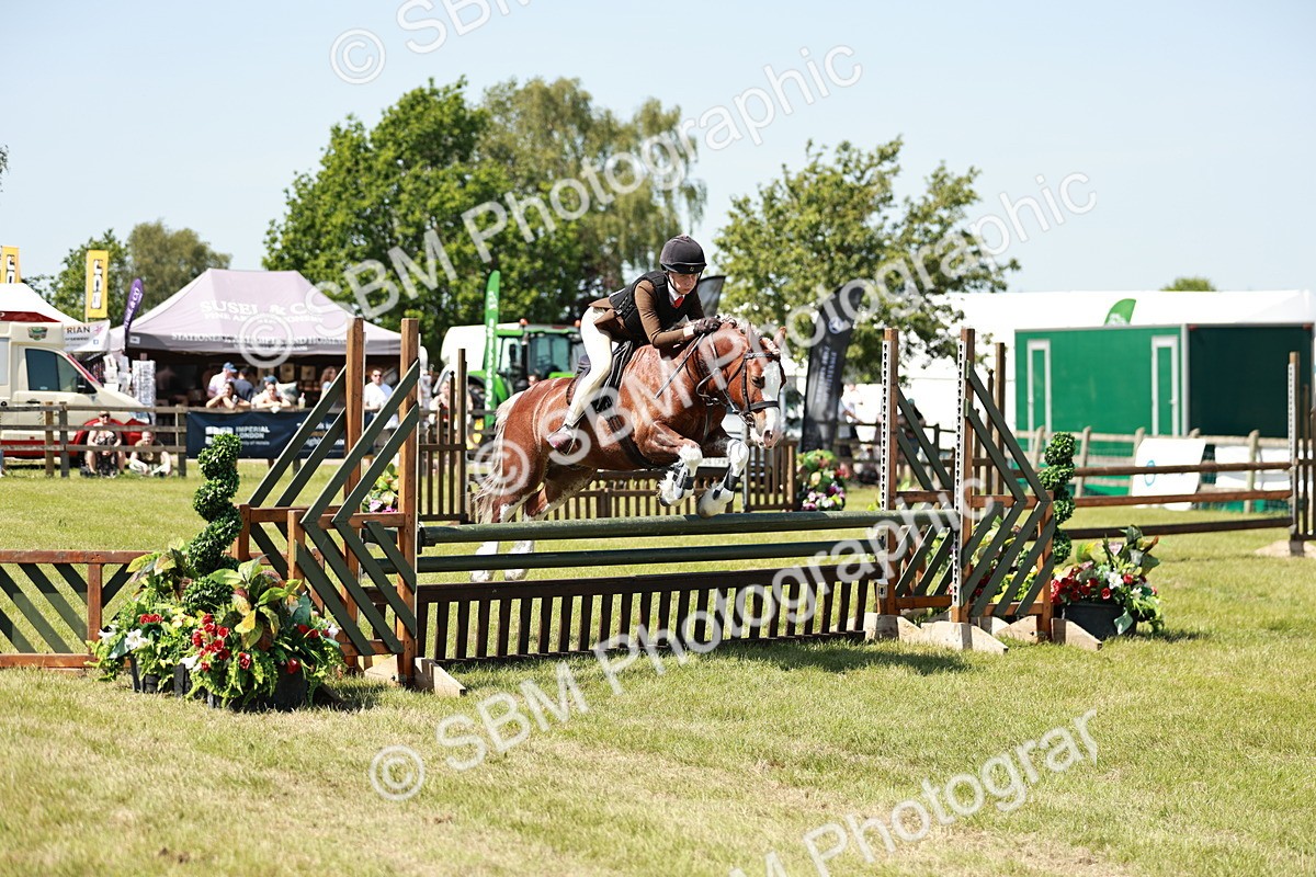 SBM_17616 - Class 112-113 - BSPS LIHS Working Sports Pony