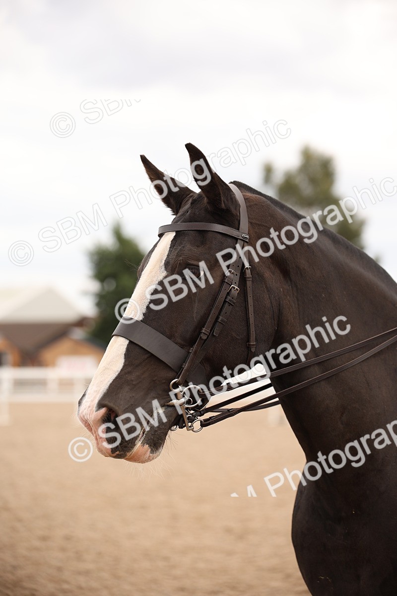 SBM_05470 - Class 22 SSA Equitation