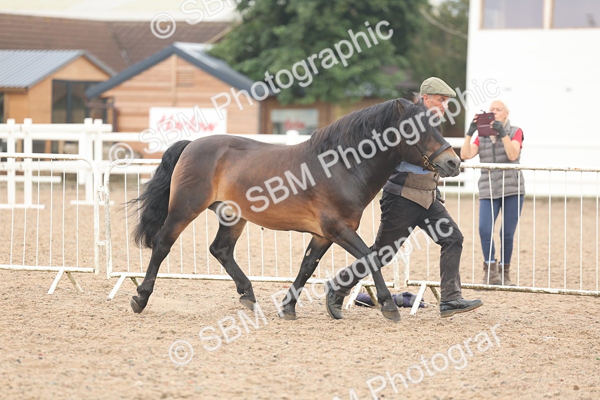 SBM_08468 - Class 29 - IH Veteran Pony