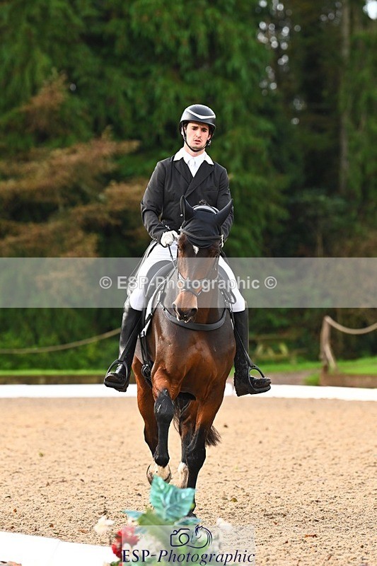 231021-091642-12814 - 324-HAZZLE.DAZZLE-Henry.Hobby-DR