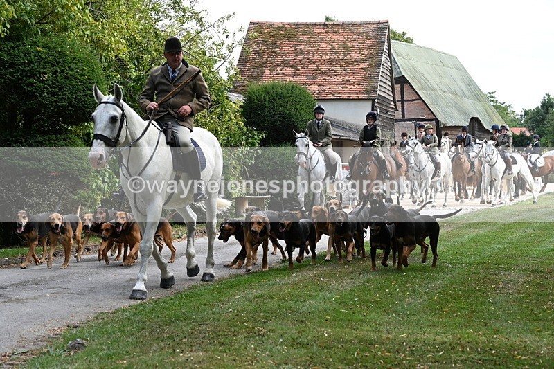WJ6_3931 - Berks & Bucks - The Old farmhouse - Hound Exercise 20-08-25