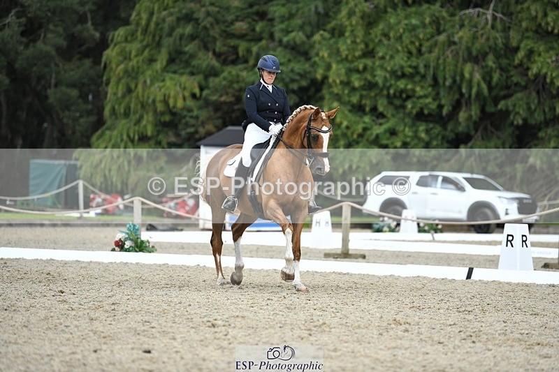 230812-143947-04750 - Cls 7 FEI PSG Bronze