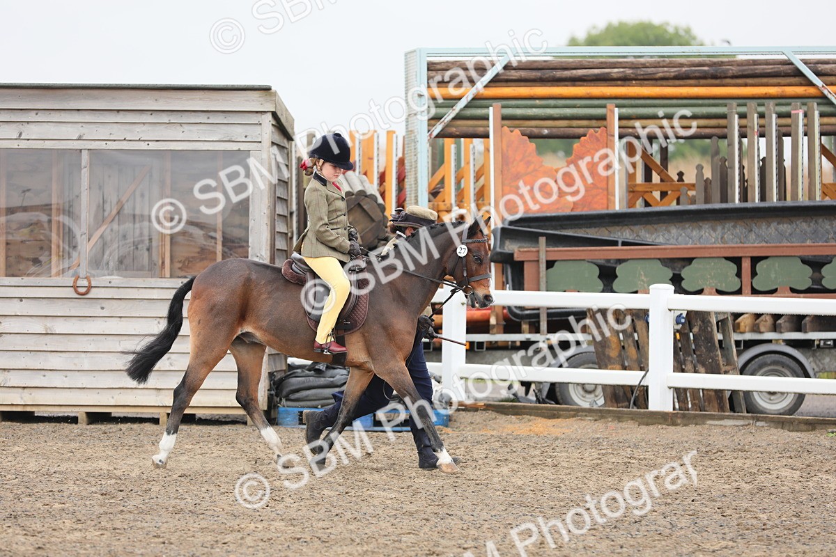 SBM_21733 - Class 806 - Young ridder 10 Yr & Under