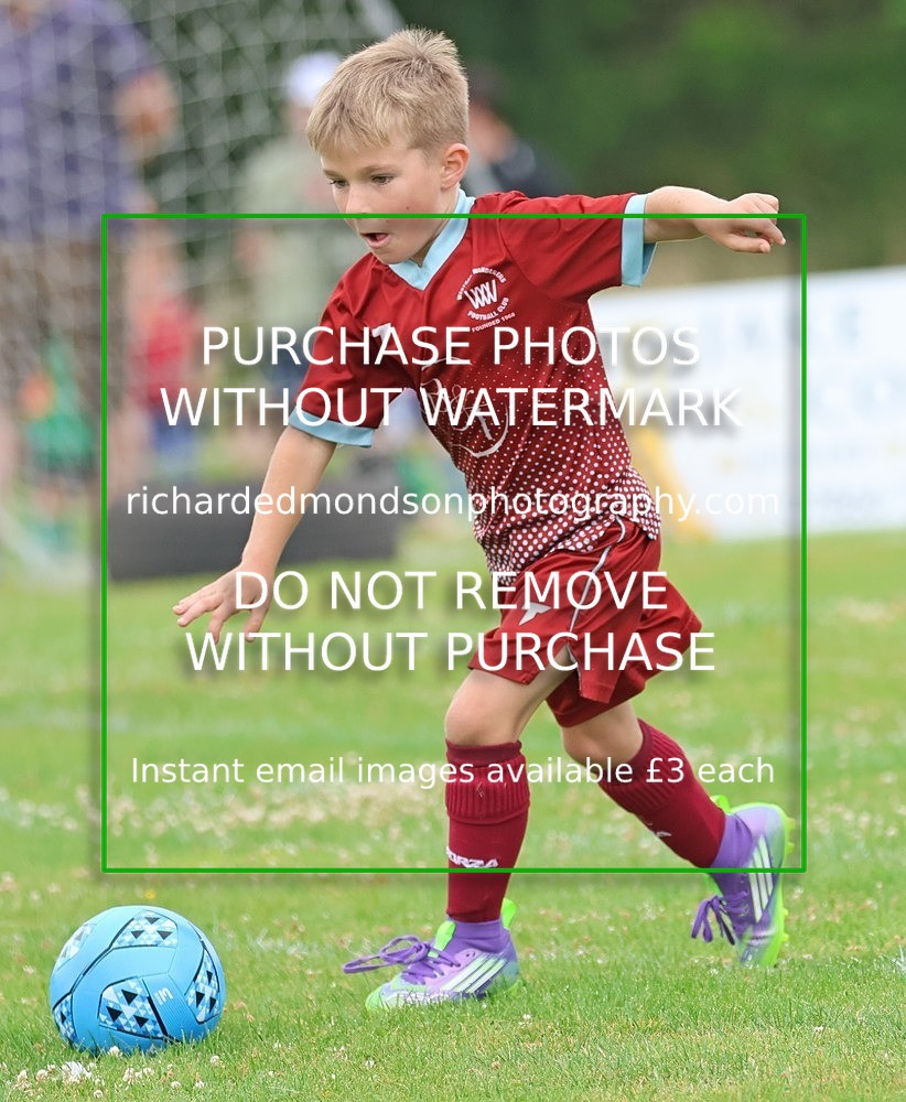 533A1877 - Westgate Wanderers Under 8's