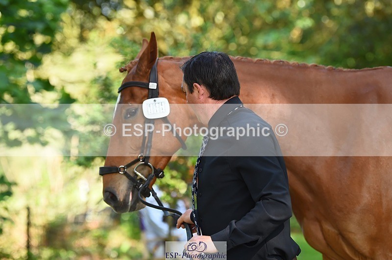 230524-164146-01031 - 111-CREEVAGHSTABLES_IFICUDIWUD-Tim_Cheffings-WEDTrotUp+DR