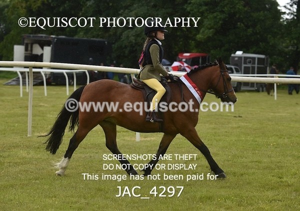 JAC_4297 - WORKING HUNTER CHAMPIONSHIP