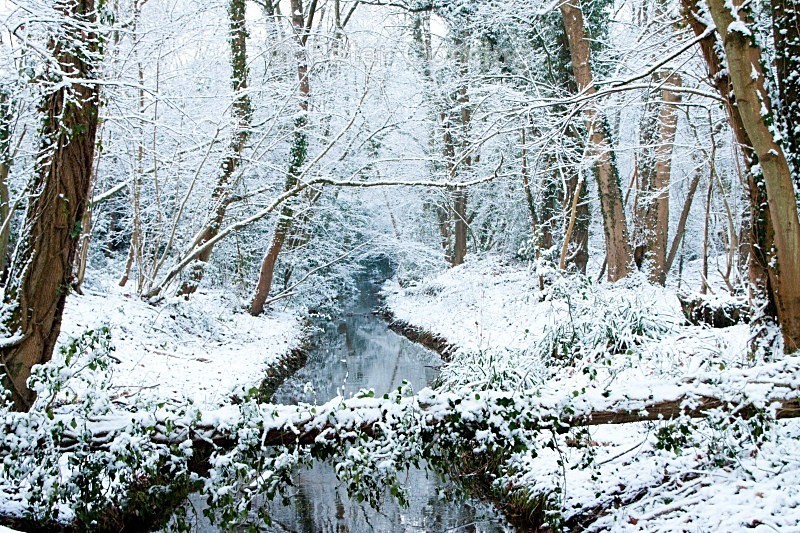  - Winter