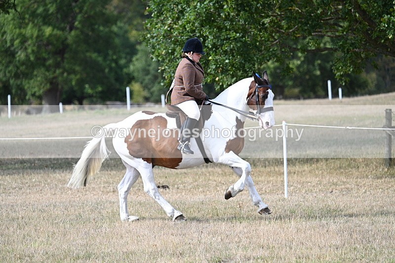 WJ7_7680 - Ridden Championship