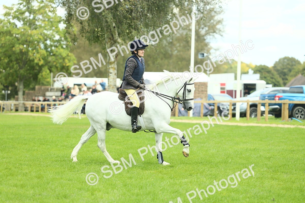 SBM_42793 - S30 - M&M Working hunter Pony