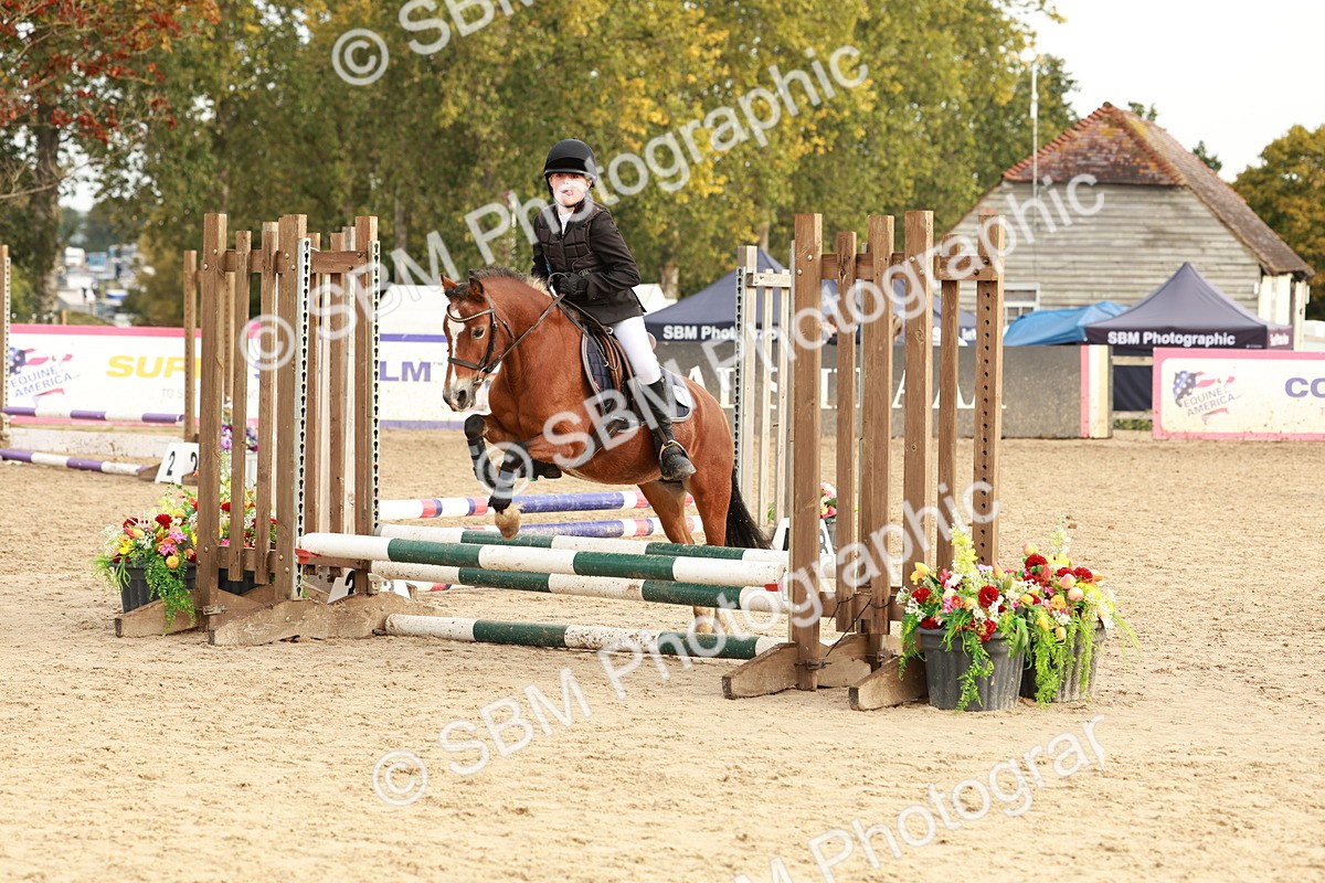 SBM_55751 - J11 - Junior Pony 50cm Championship