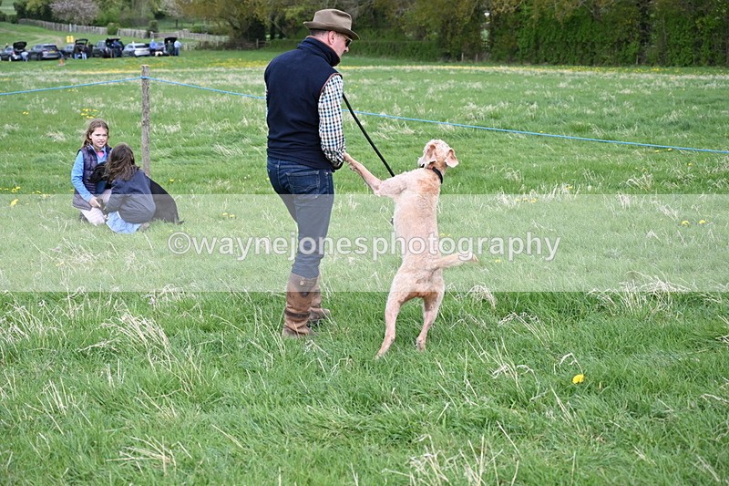 WJ6_8125 - Class 2 Best Pedigree