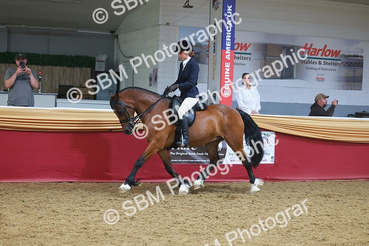 SBM_17767 - Class 952 - M&M Ridden Supreme Final
