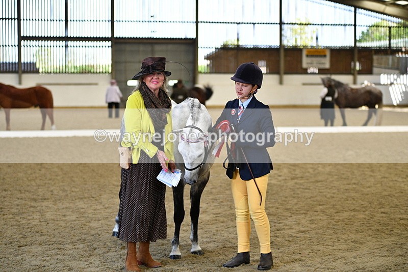 WJ5_4096 - Class 2 Best Condition In hand