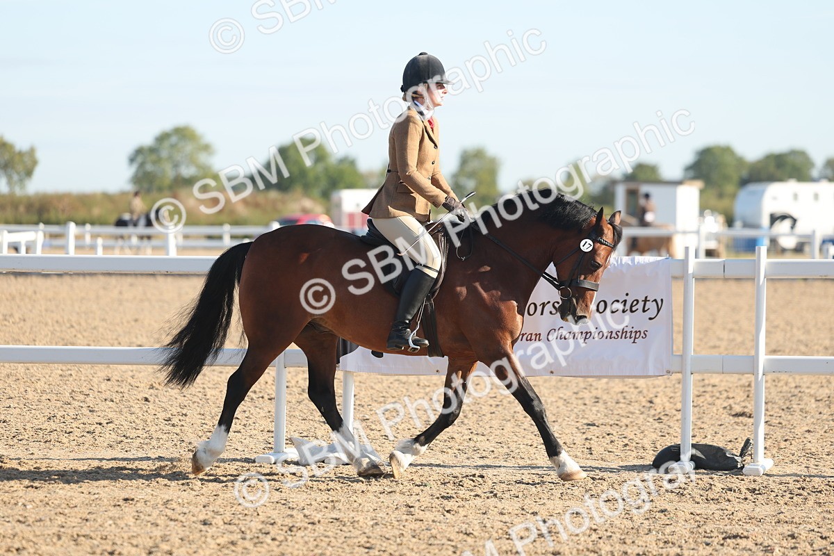 SBM_10980 - Class 302 - Ridden M&M Large Breeds