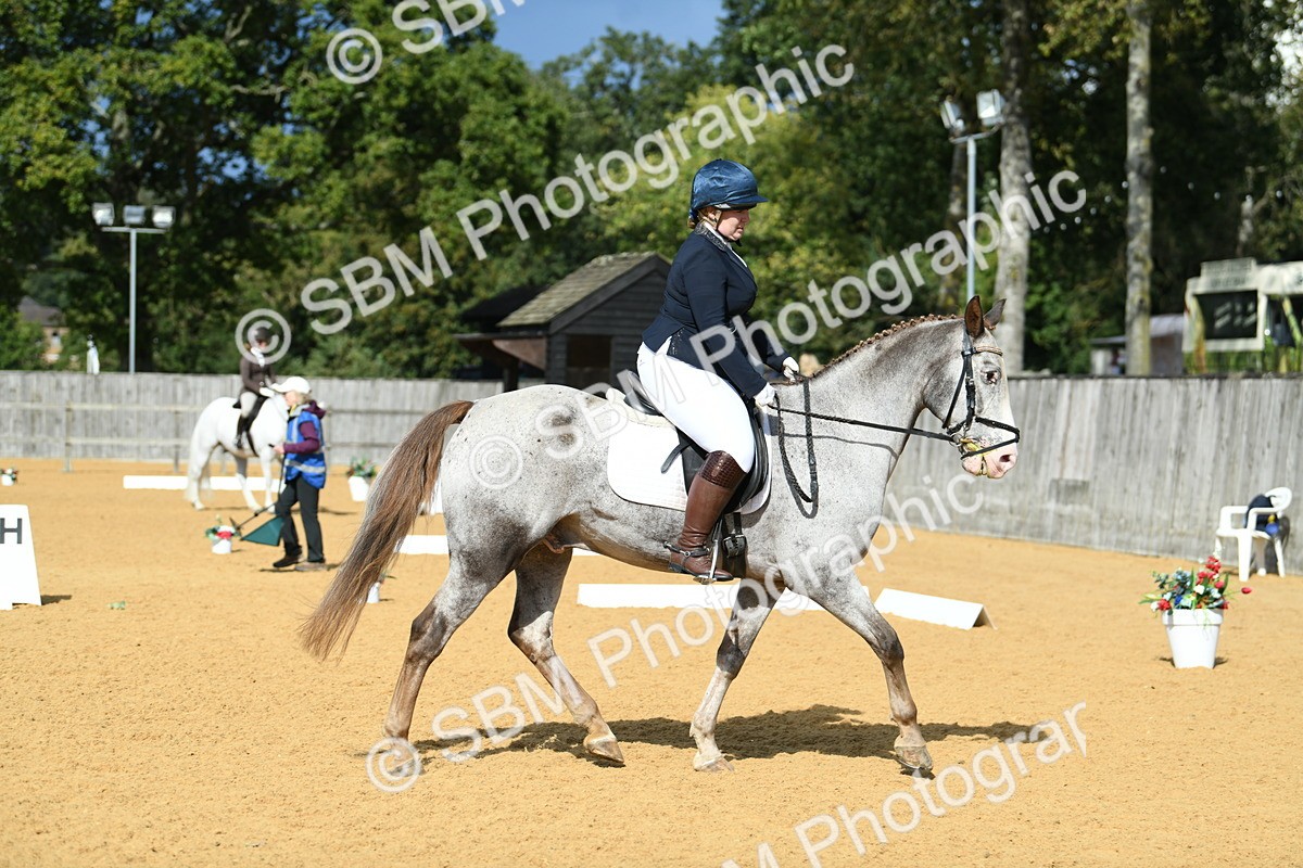 SBM_09785 - D15 Small Tour Championship Novice 24