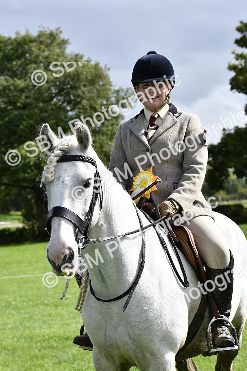 SBM_41678 - S32 - Mountain & Moorland Working Hunter Pony