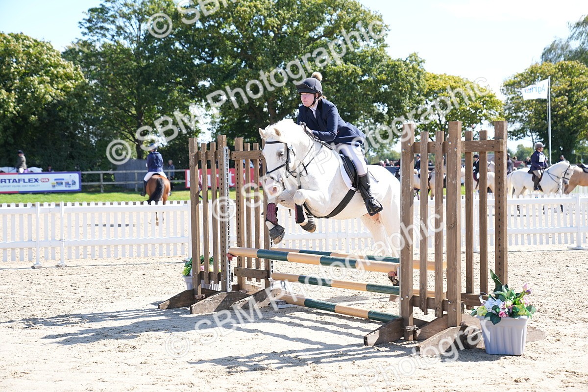 SBM_04882 - J56 - Clear Round 70cm