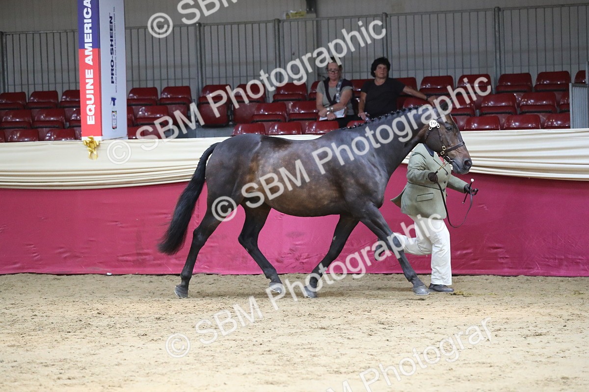 SBM_06255 - Class 9R Regional- IH Pre Vet
