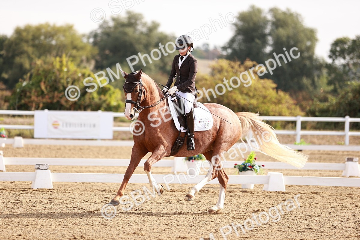 SBM_016860 - Class 10 - Medium 6