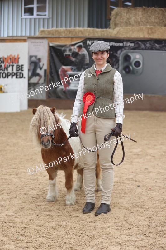 20251109-0345 - Class 13 - Mares 4 Years and Over