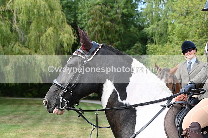 WJ6_3253 - Berks & Bucks - The Old farmhouse - Hound Exercise 20-08-25