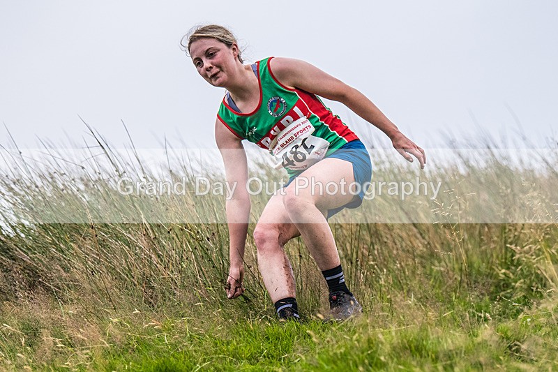 Steel Fell-600 - Steel Fell Race Wednesday 6th August 2025