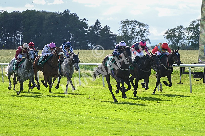 310526-Race 4-Brielle-8856 - Race 4 17.15pm Sky Bet Extra Places Handicap