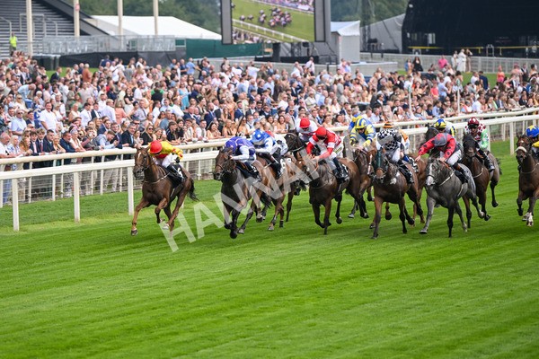 250725-Race 1-Pressures On - Quest For Fun-5321 - Race 1 5.30pm eventmasters.co.uk Handicap