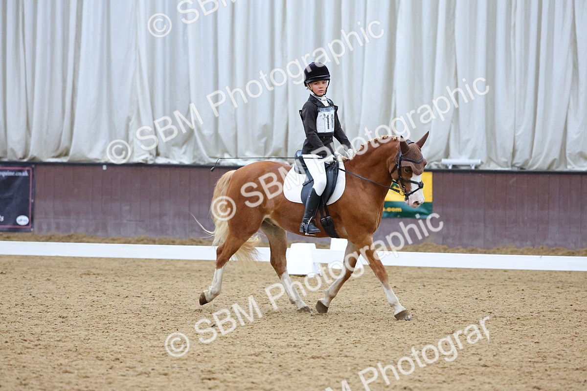 SBM_004197 - Intermediate
