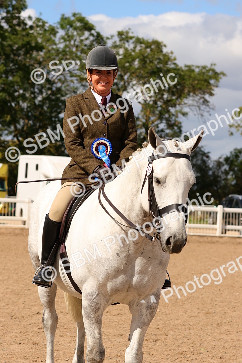 SBM_13233 - Class 211 - Ridden Hunter - Small