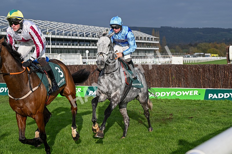 151124-Race 2-Resplendent Grey-7422 - Race 2