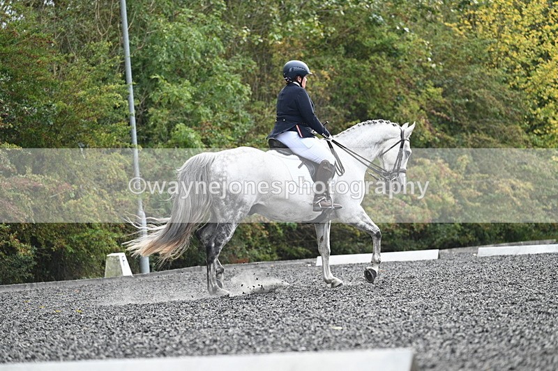 WJ7_6903 - Time 14:49 to 15:14