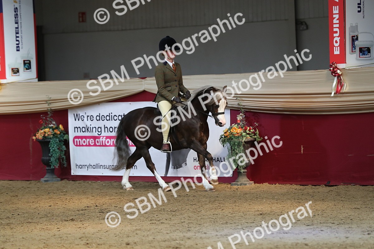 SBM_07210 - Class 10R Regional Ridden Diamond