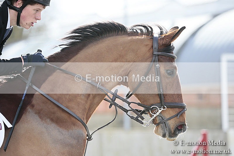 BVRC SJ 170319 490 - Bourne Valley Riding Club Showjumping 17/03/19