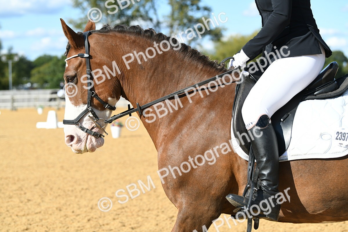 SBM_27092 - D16 - Small Tour Championship - Novice 28