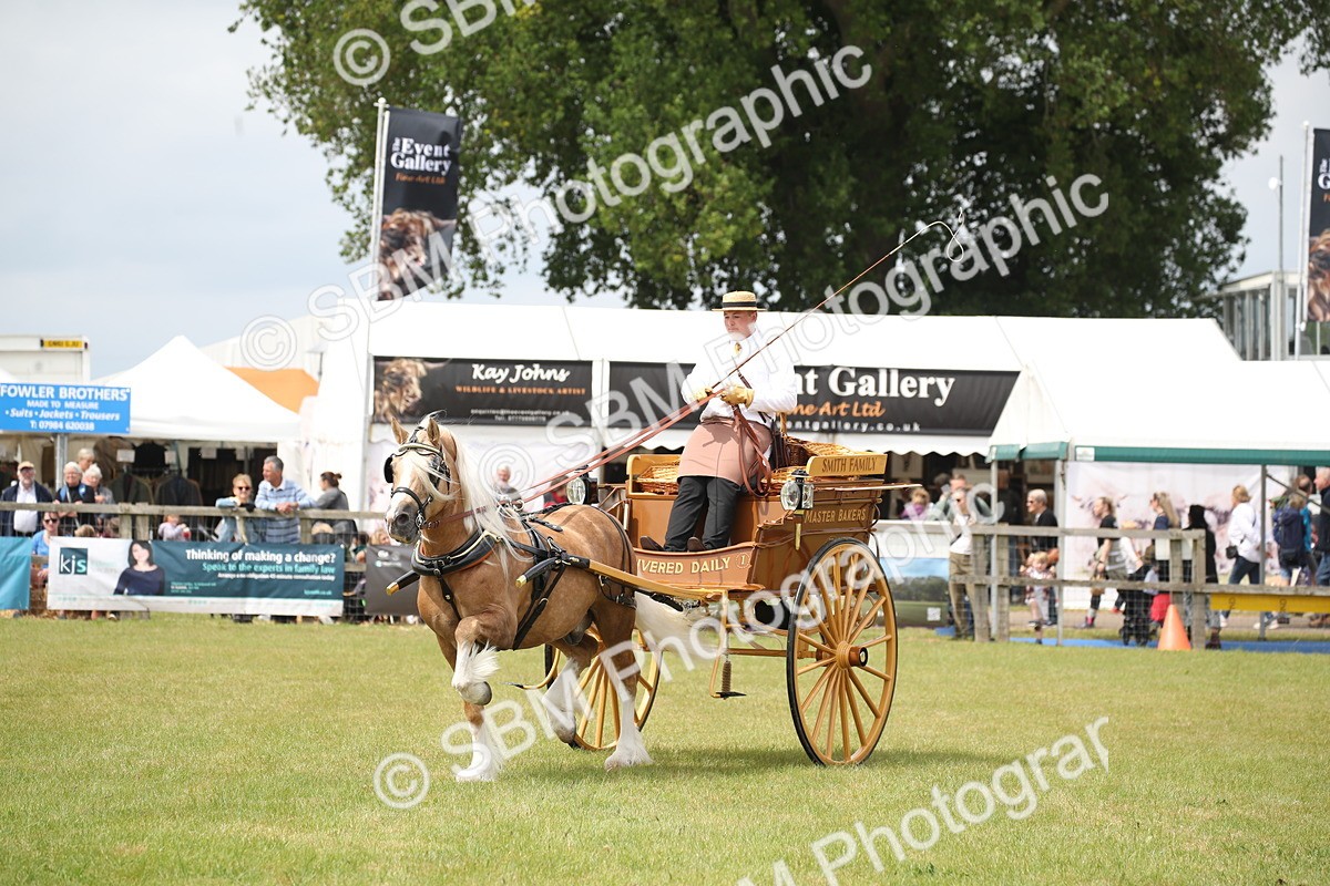 SBM_06986 - Class 16 - Light Trade