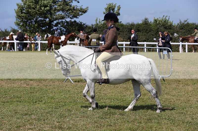 1X9A5365 - Class 37: NPS M&M First Ridden
