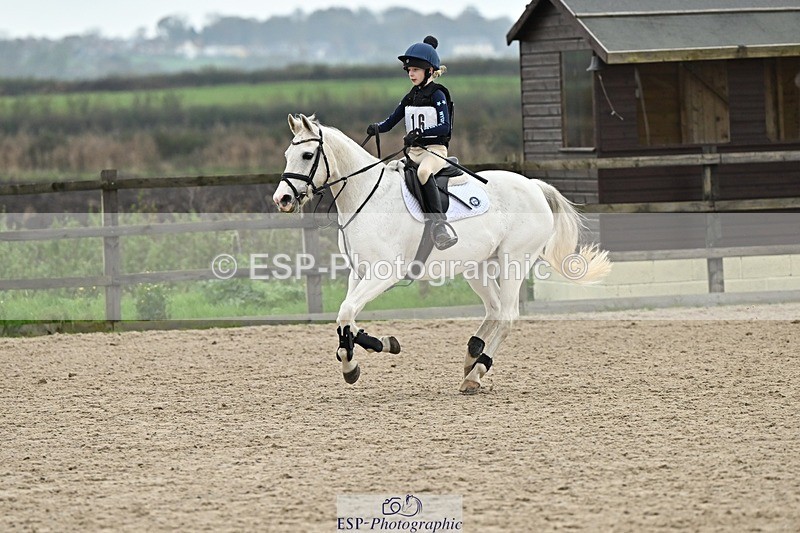 241110-135207-00956 - 60-65cm Arena Eventing