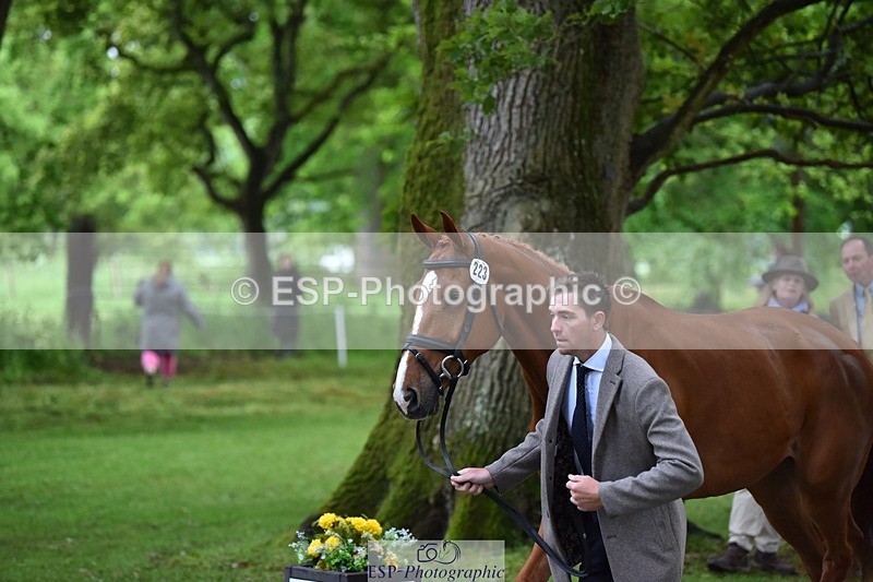 240522-165050-01195 - 223-MORNINGSTAR_VAN_ALTRIDO-Max_Warburton