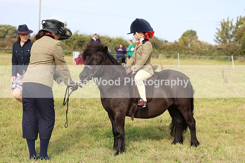 3E7A3671 - Class 2: Lead rein