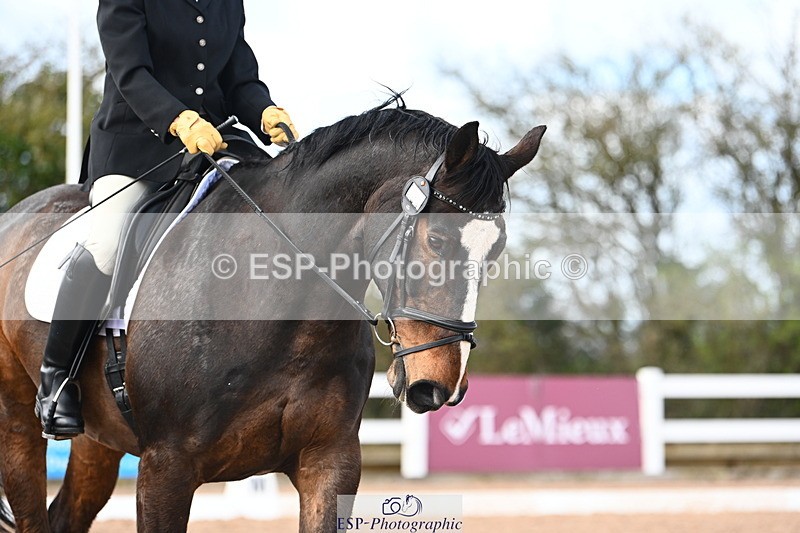 240323A-132741-03097 - UnA Medium 71