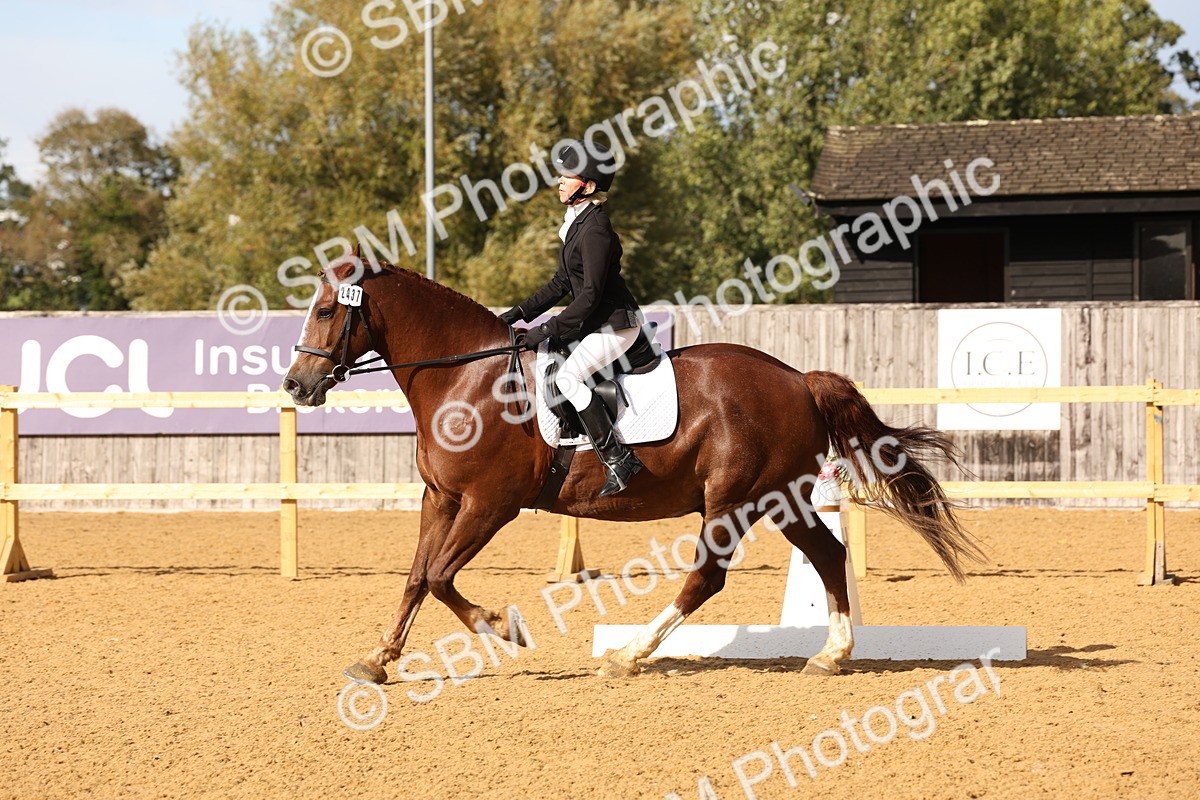 SBM_10602 - D9 - Small Tour Championship Prelim 3
